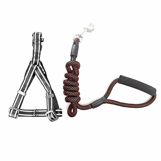 Reflective Nylon Dog Leash lead with Harness Assorted Colours 4266