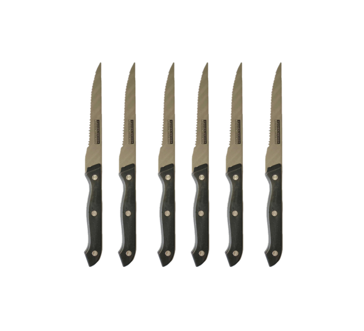 Metal Kitchen Fruit Knife 22.5cm Pack of 6 Plastic Handle 8004
