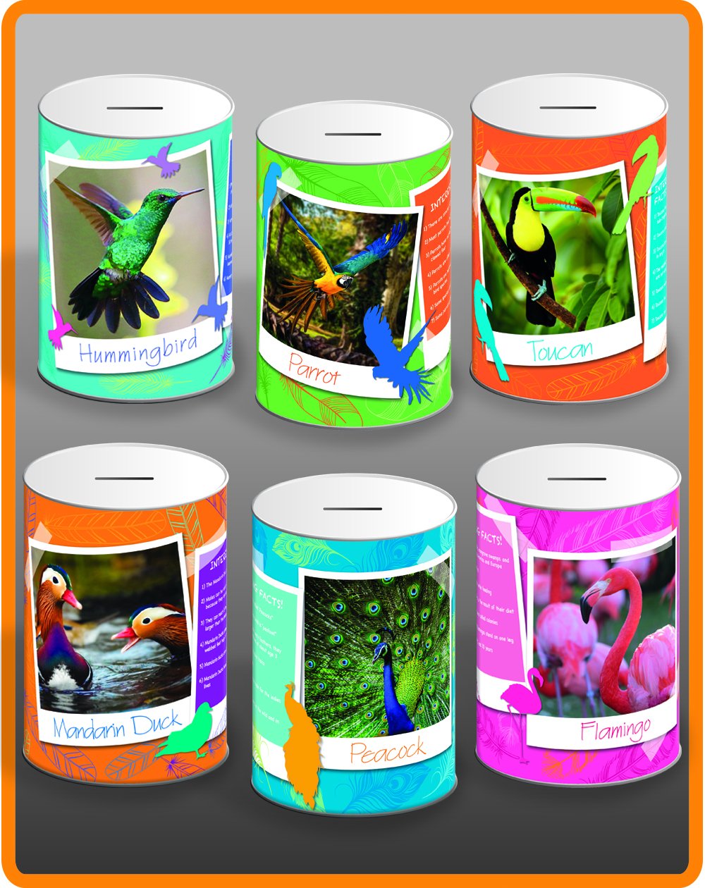 Exotic Birds Money Tin 145mm x 110mm Assorted Designs EXT001 A
