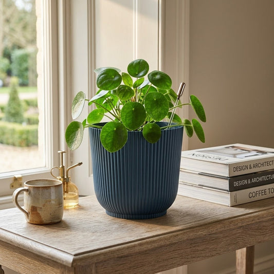 Plastic Flower Pot Assorted Colours 14x14x13cm 105g SKU 8233