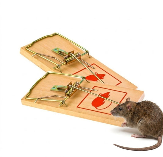 Wooden Mouse Catch Traps 7" Pack of 2 – SKU 2856 A