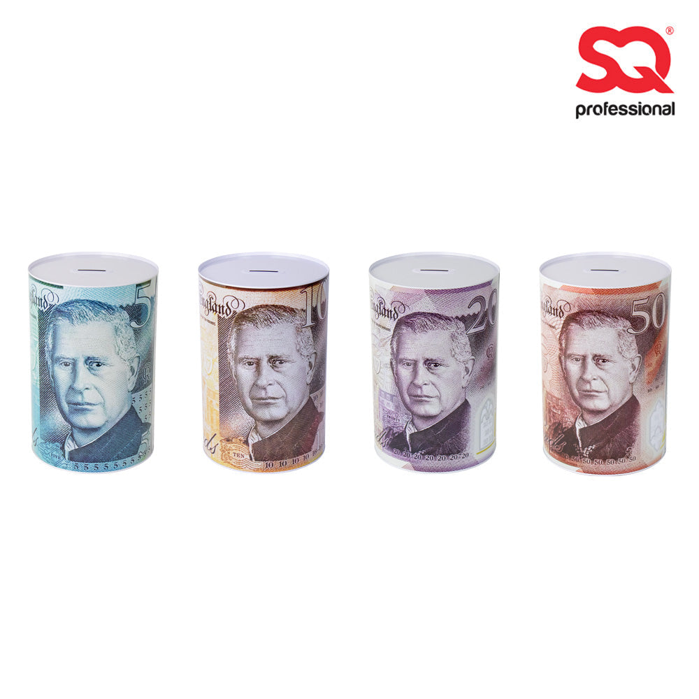 MTS75 Small Coin Money Tin Piggy Bank Savings Box 10 x 15cm Assorted Royal Designs SKU 4839