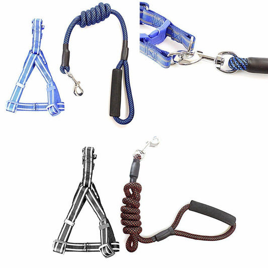Reflective Nylon  Dog Leash lead with Harness Assorted Colours 4266