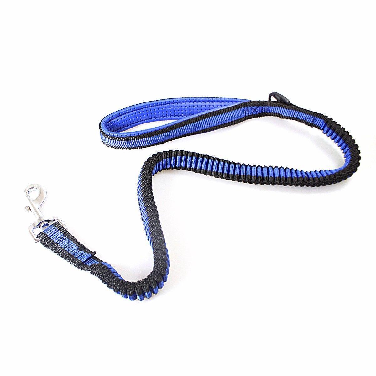 Pet Dog Stretchy Leash Lead Assorted Colours 3042
