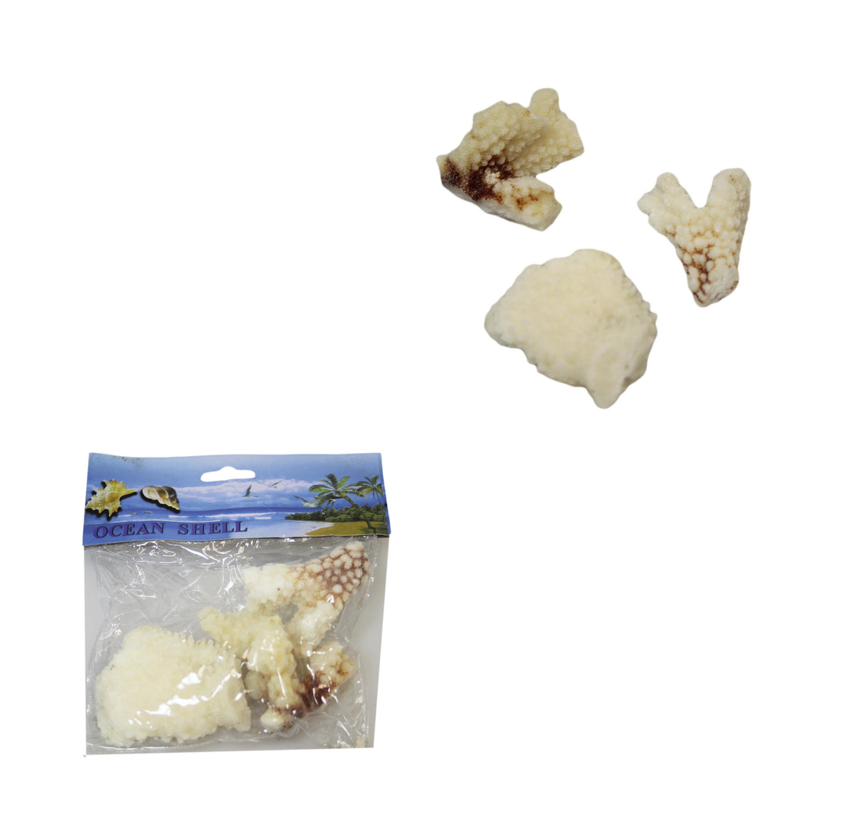 Natural White Stone Seashells Beach Shells Aquarium Decor 4 - 7cm Pack of 3 4528