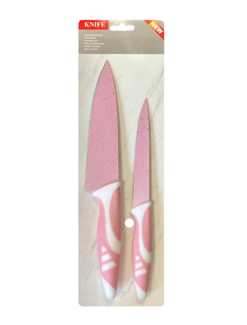 Kitchen Knife with Plastic Handle Set of 2 Assorted Colours 7902