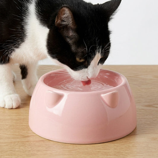 Cat Bowl Assorted Colours 19x19x10cm 86g SKU8121