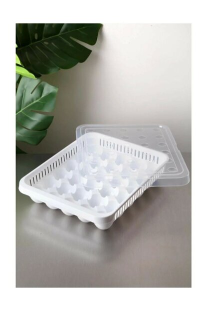Plastic Egg Storage Container Box 30 Eggs AK681