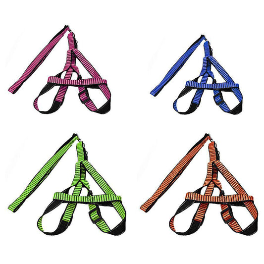 Pet Dog Leash with Harkness Assorted Colours 5034