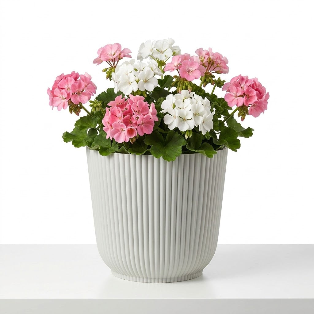 Plastic Flower Pot Assorted Colours 14x14x13cm 105g SKU 8233